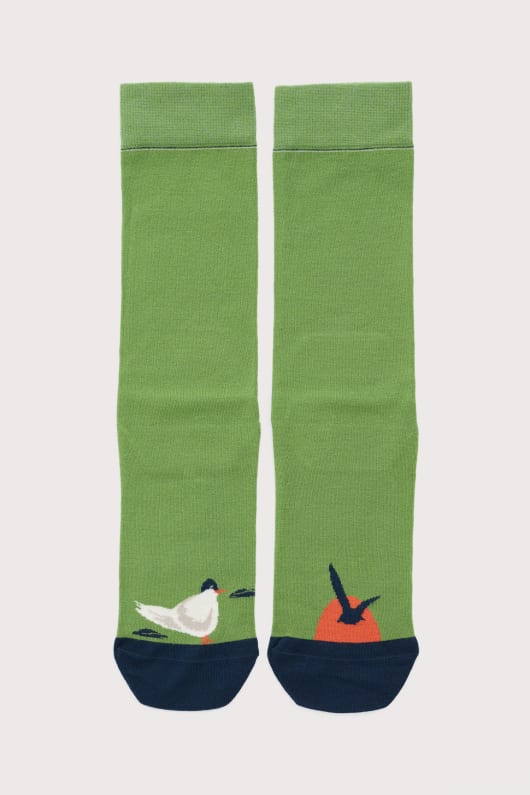 men s everyday socks